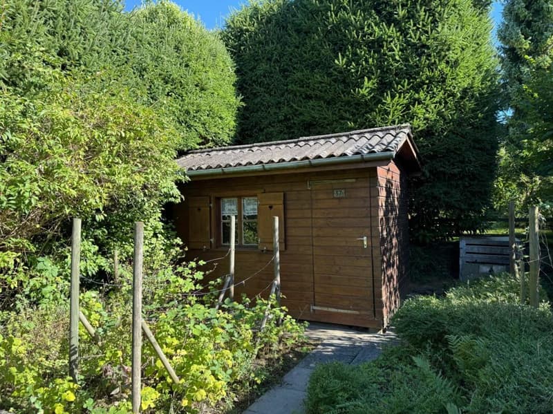 Freistehendes 5,5-Zimmer-Einfamilienhaus mit 2-Zimmer-Einlegerwohnung (25)