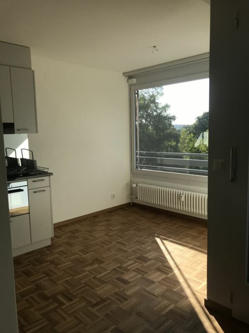 Wohnen im Alter mit Dienstleitungen in einer schönen 1½-Zimmerwohnung (9)