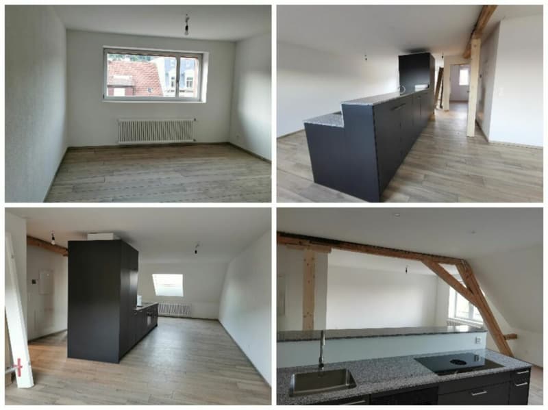 Loft nähe Stadtpark zu vermieten (mit virtueller Tour) (6)