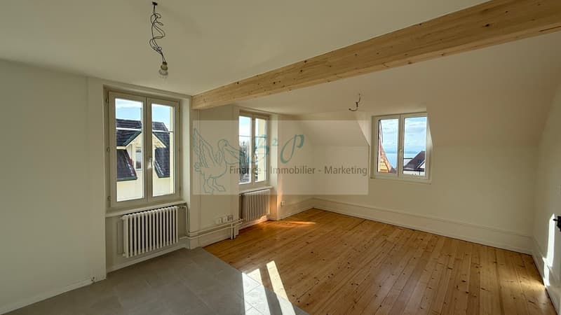 Bel appartement de 3.5 pièces avec vue (2)
