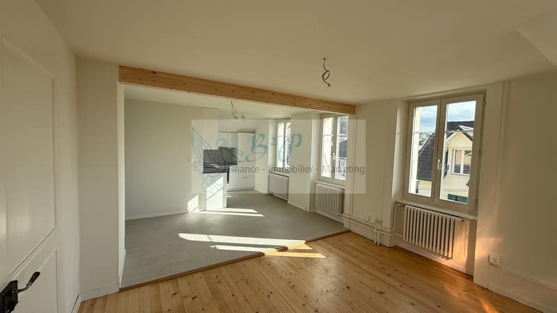Bel appartement de 3.5 pièces avec vue (3)