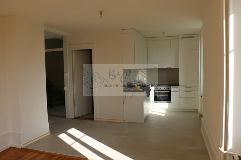 Appartement de 3.5 pièces avec vue (3)