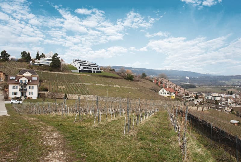 Les terrasses de Sachet, villas de 5.5 pièces à Cortaillod (3)