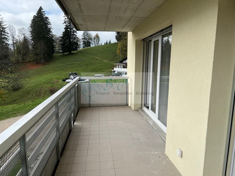 Appartement de 4.5 pièces dans un quartier calme et verdoyant. (6)