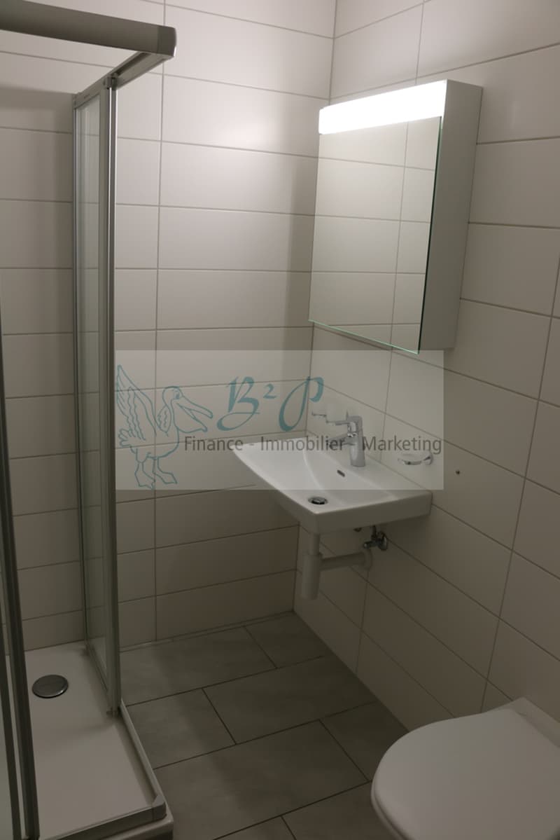 Appartement de 4.5 pièces au 5ème étage avec vue dégagée. (8)