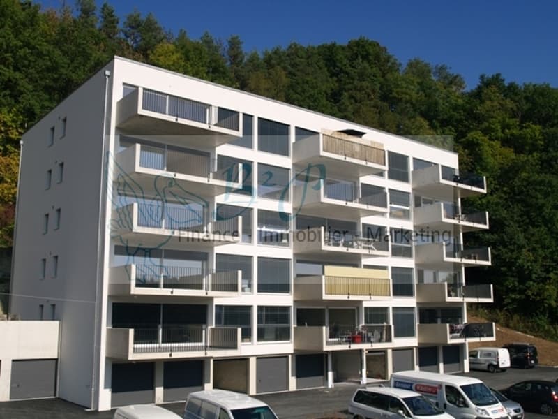 Appartement de 4.5 pièces au 5ème étage avec vue dégagée. (2)