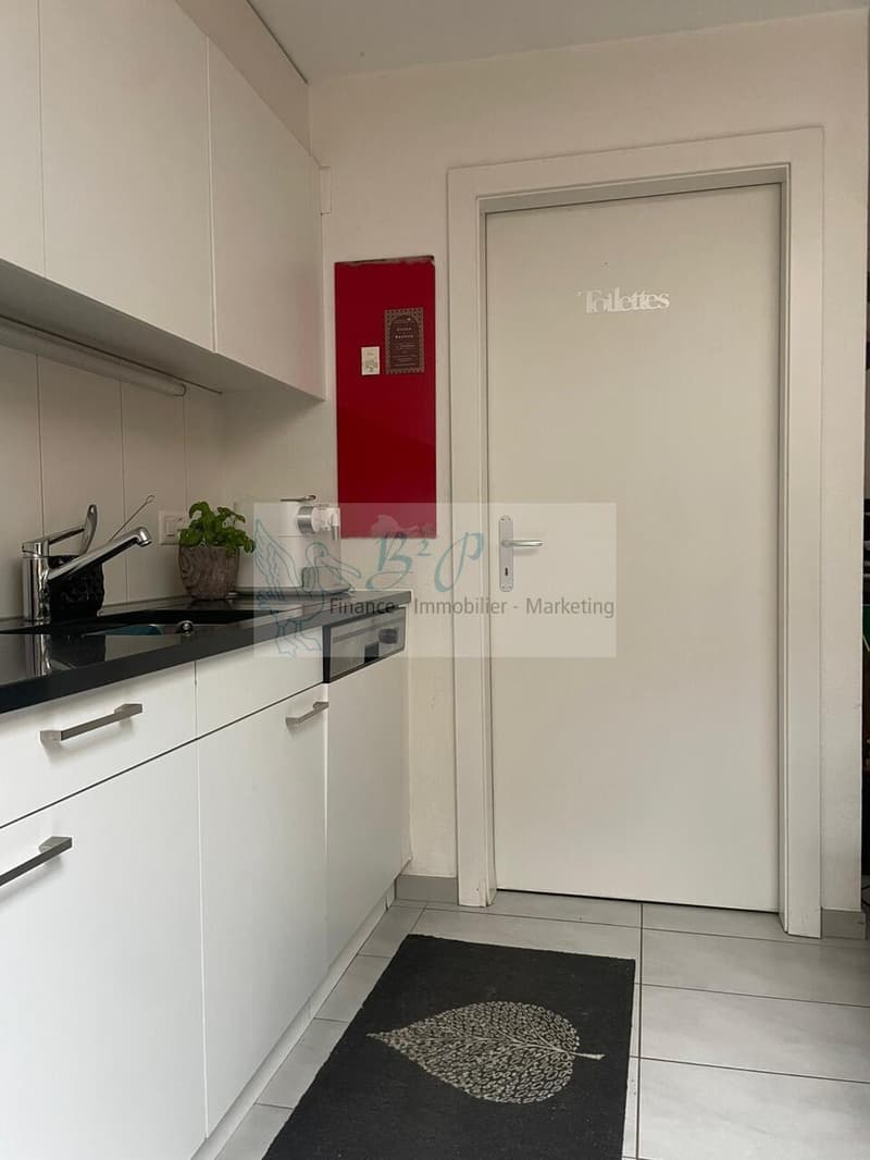 Grand appartement de 2.5 pièces avec jardin privatif (8)
