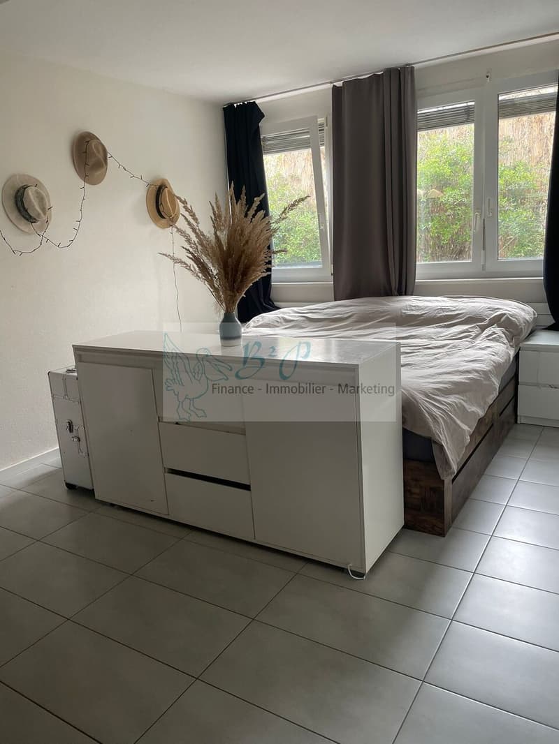 Grand appartement de 2.5 pièces avec jardin privatif (11)