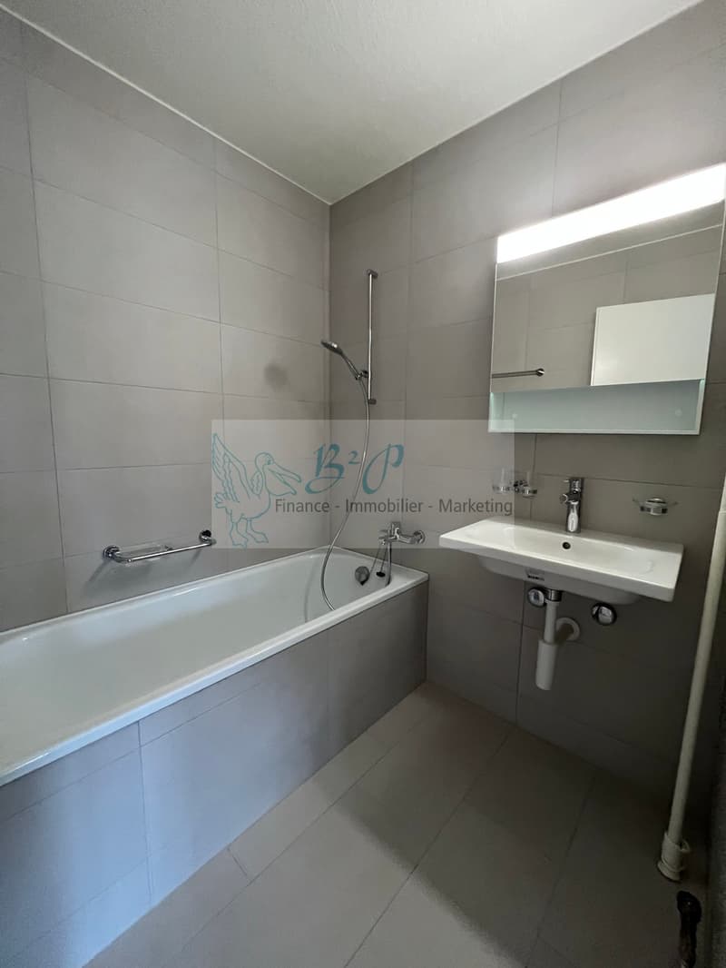 Bel appartement de 3.5 pièces dans un quartier calme et verdoyant. (5)