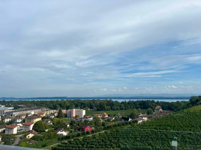 Les terrasses de Sachet, villas de 5.5 pièces à Cortaillod (6)