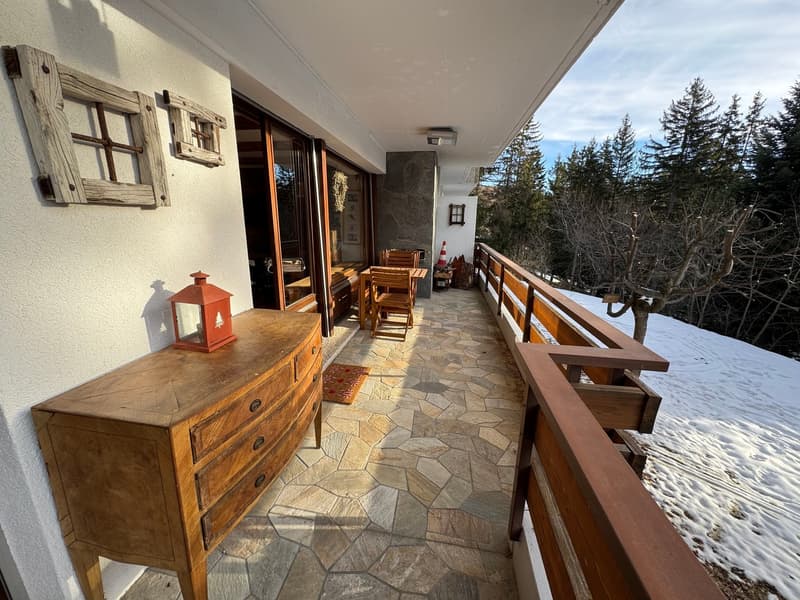 wooden railings, wooden floor, wooden cabinet, outdoor dining set, snowy landscape