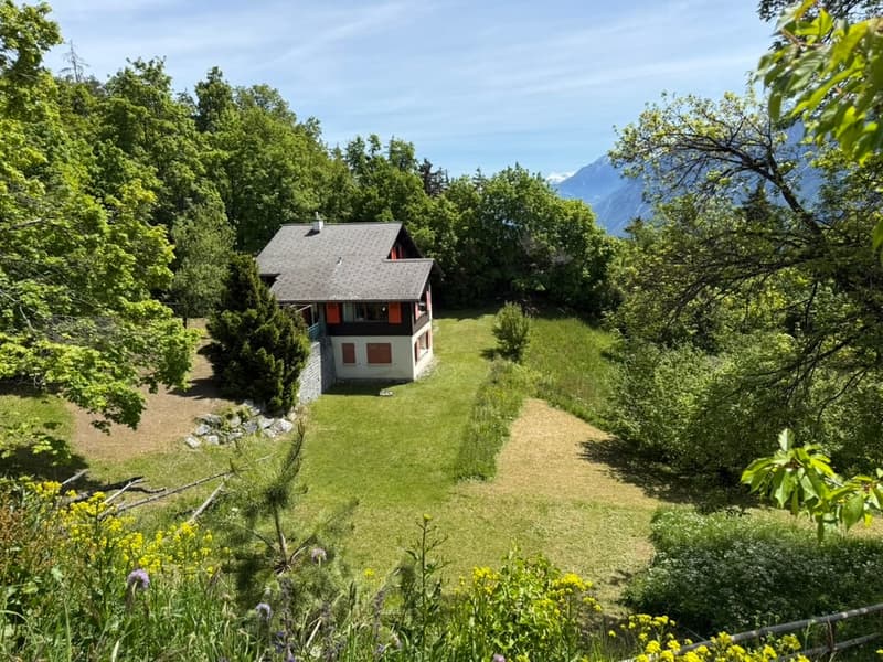 Chalet Pigwood, Blûche (Ref: 6650) (15)