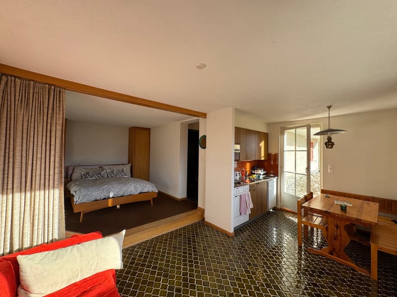 Chalet Pigwood, Blûche (Ref: 6650) (14)