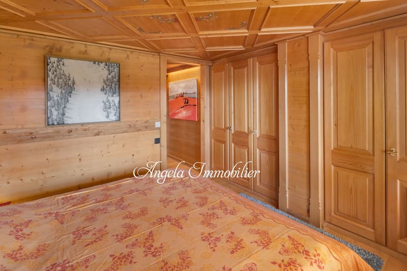 wood paneling, bed, carpet, closets, paintings