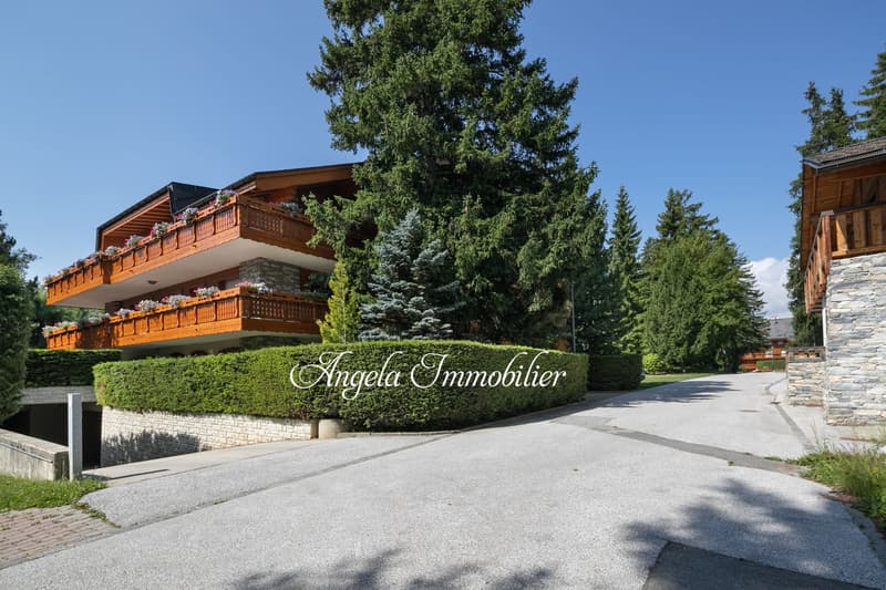 The image shows a real estate office called 'Angela Immobilier' surrounded by a well-maintained garden with trees and shrubs. The building has a wooden exterior with balconies on the upper floors.