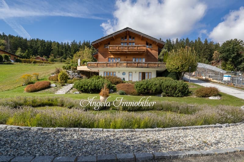 Chalet Hirondelles - Blûche (1)