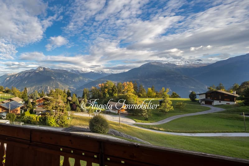 Chalet Hirondelles - Blûche (2)