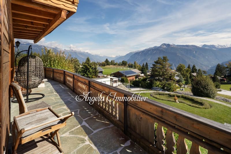Chalet Hirondelles - Blûche (13)
