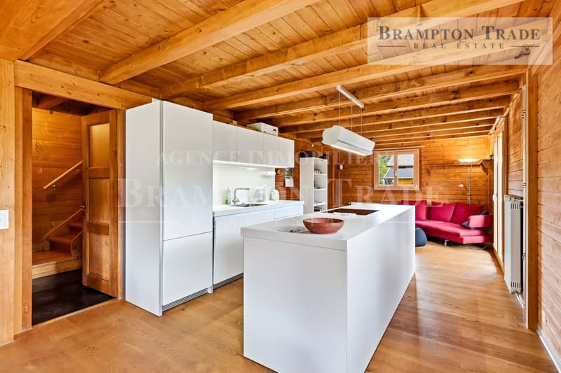 Lovely 5.5 room chalet, residential neighborhood (3)