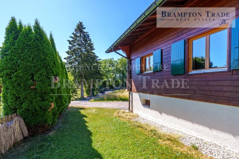 Lovely 5.5 room chalet, residential neighborhood (11)