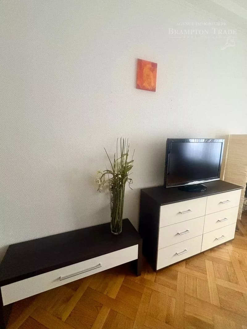 Attractive one-bedroom apartment (2 rooms), for rent (6)