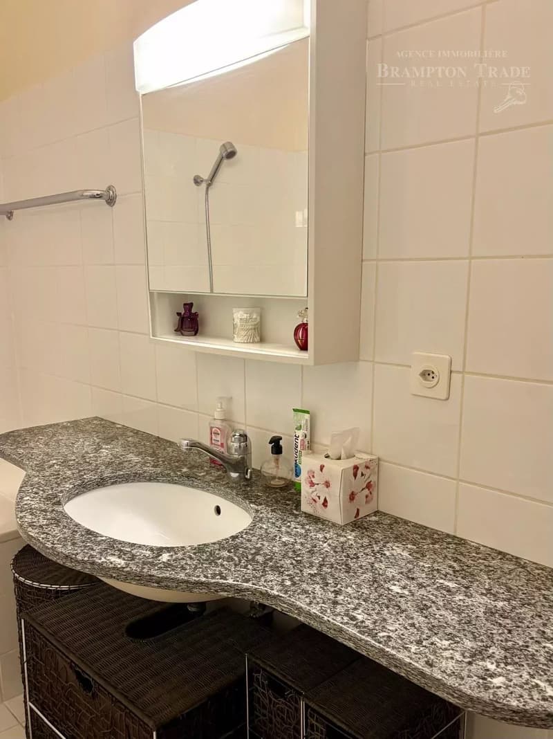 Attractive one-bedroom apartment (2 rooms), for rent (8)