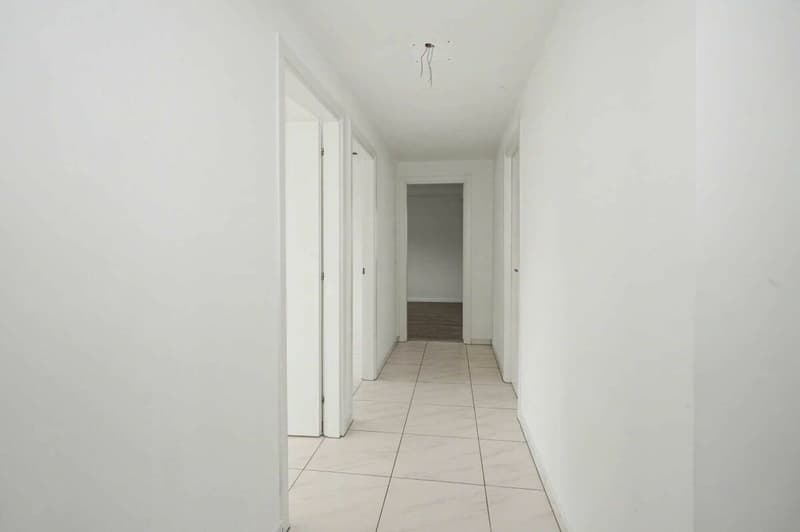 Appartement rénové de 3 pièces à Reinach (3)