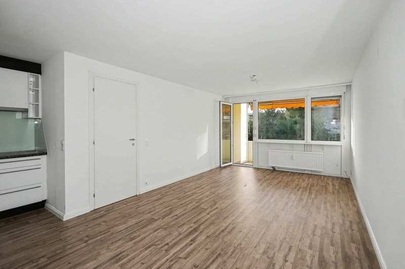 Appartement rénové de 3 pièces à Reinach (2)