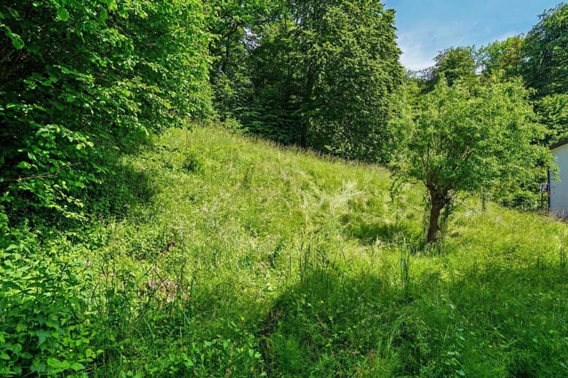 4.5-Zimmer-Gartenwohnung in Oberwil (11)