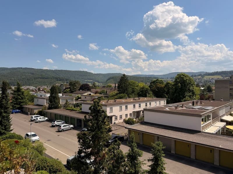 Sonnige 2.5-Zimmerwohnung mit schöner Aussicht und Einstellplatz in Aesch (9)