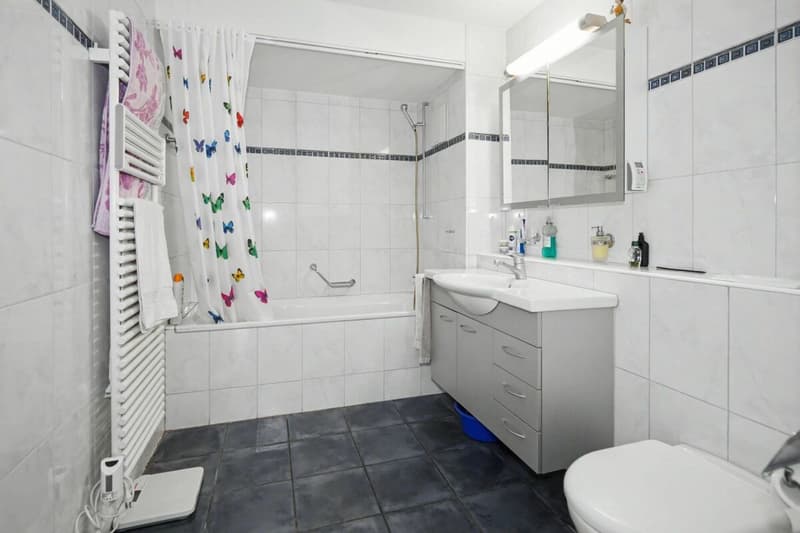 Helle 4.5-Zimmerwohnung in Binningen (5)