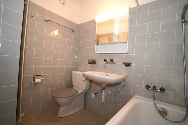 2-Zimmerwohnung mit herrlicher Aussicht in Reinach (6)