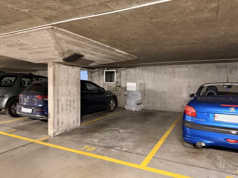 Helle, modernisierte 3.5-Zimmerwohnung in Reinach (6)
