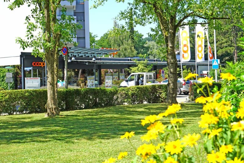 Helle, modernisierte 3.5-Zimmerwohnung in Reinach (9)