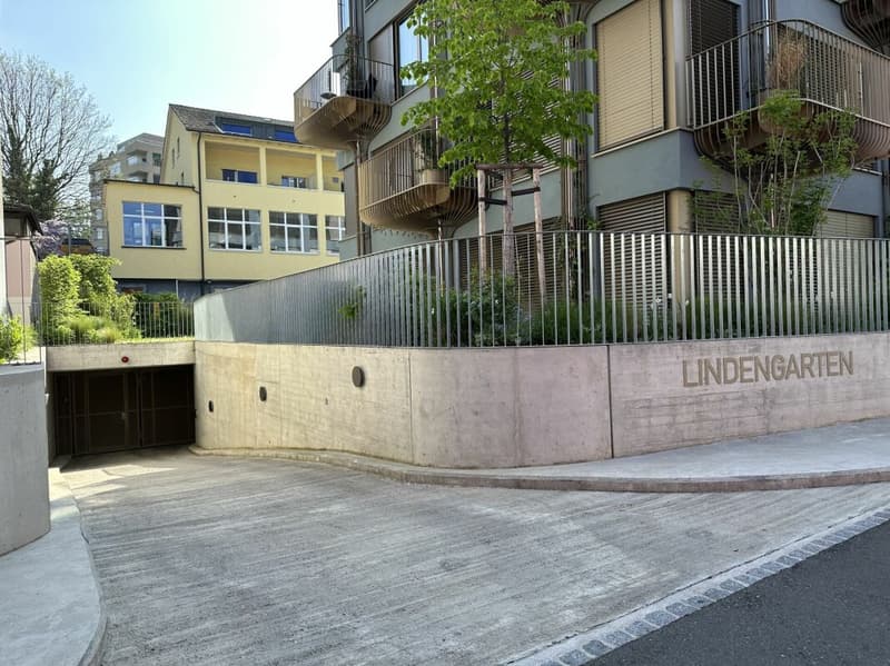 Autoeinstellhallenplatz in Birsfelden (1)