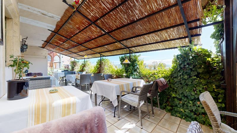 tables, chairs, umbrella, hanging lamps, plant pot, covered terrace, outdoor area, green plant