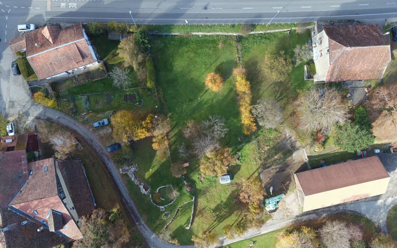 wide plot of land, garden with trees and plants, multiple parked cars in the distance