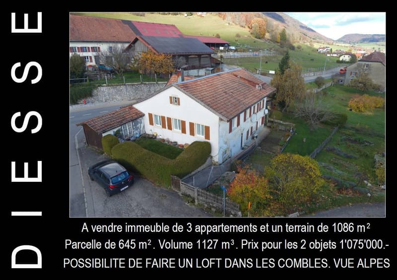 BAISSE DE PRIX - Immeuble de 3 appartements et terrain constructible à vendre à Diesse (1)