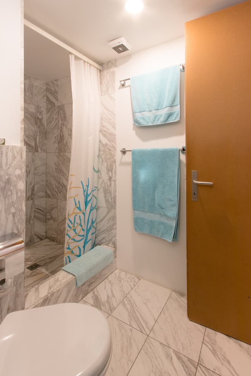 Charmant maison mitoyenne 4.5 pièces avec panorama montagnard à Falera (17)