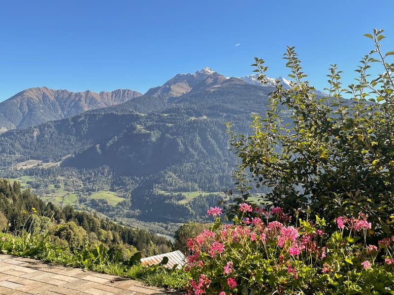 Charmant maison mitoyenne 4.5 pièces avec panorama montagnard à Falera (33)
