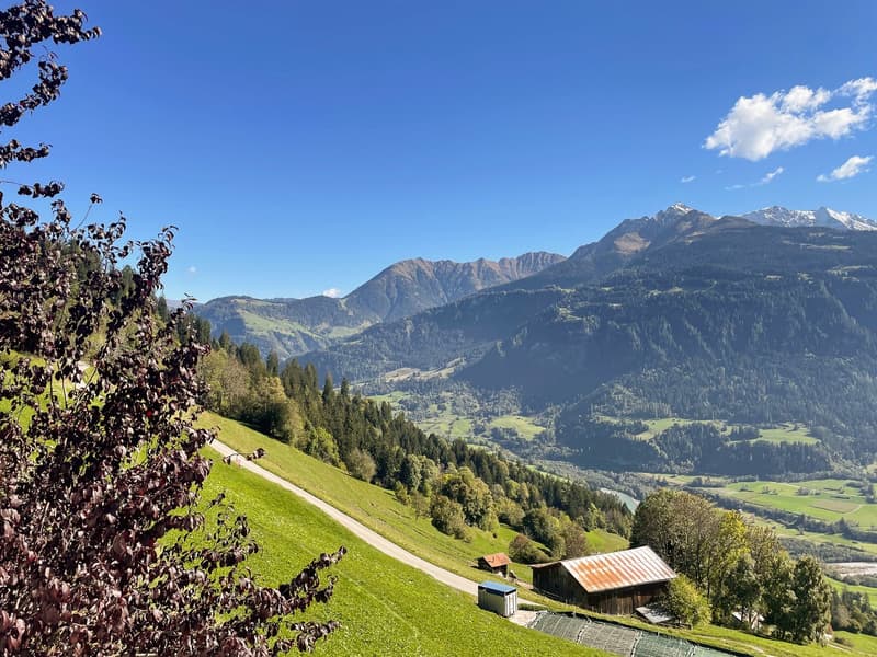 Charmant maison mitoyenne 4.5 pièces avec panorama montagnard à Falera (31)