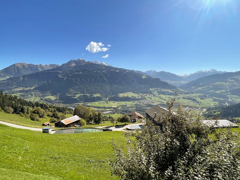 Charmant maison mitoyenne 4.5 pièces avec panorama montagnard à Falera (22)