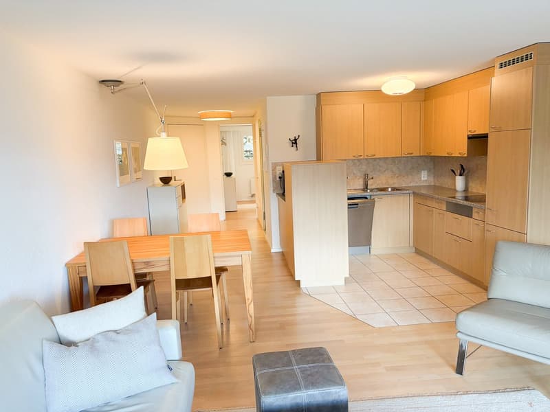 Charmante 2-Zimmer-Wohnung mit Terrasse und herrlicher Aussicht in Flims-Dorf (11)