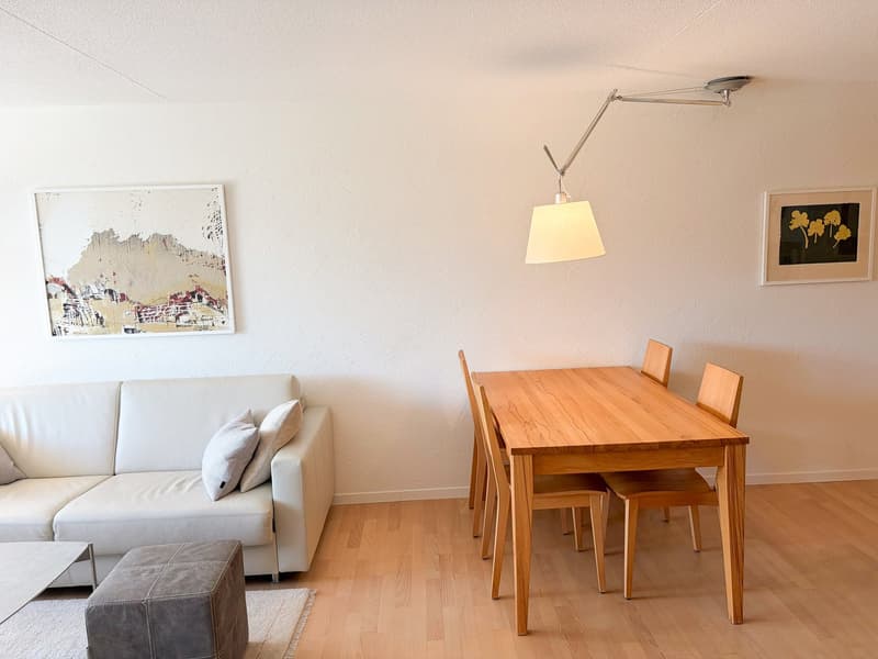 Charmante 2-Zimmer-Wohnung mit Terrasse und herrlicher Aussicht in Flims-Dorf (15)