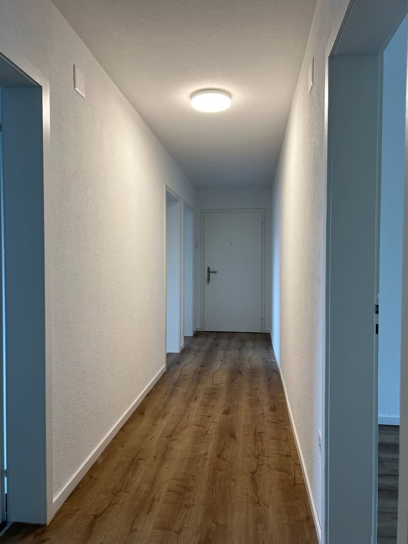 Empty hallway with white walls, wooden floor, and a ceiling light