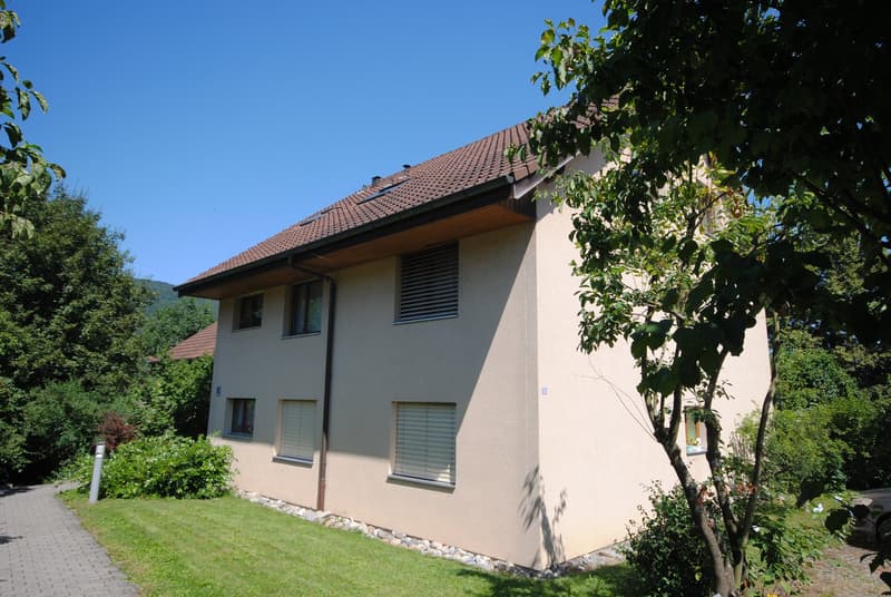 Helle 2-Zimmer-Wohnung mit Sitzplatz in Küttigen (1)