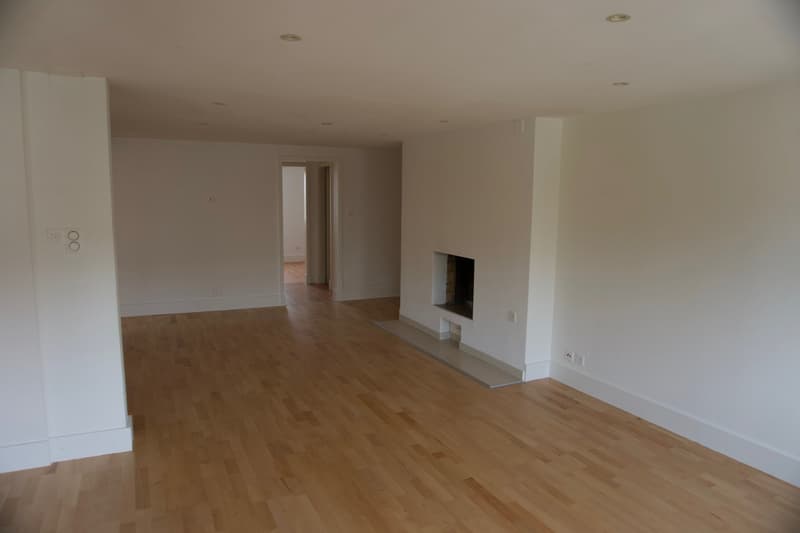 Charmant appartement de 4 pièces rénové avec balcon – La Chaux-de-Fonds (6)