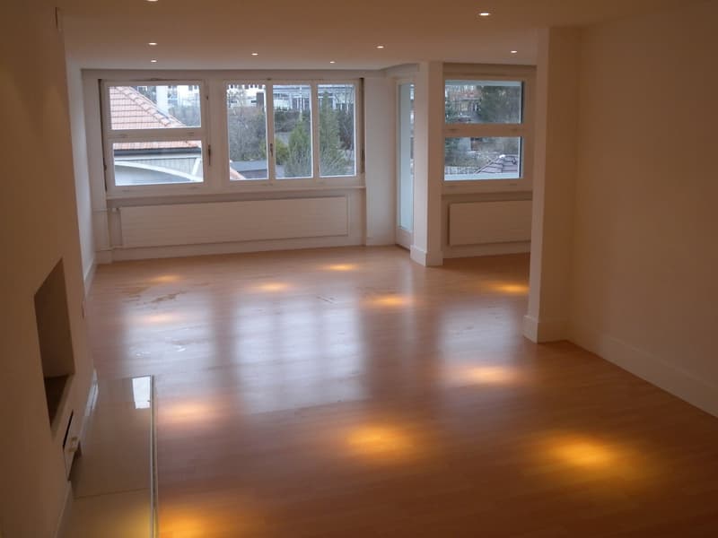 Charmant appartement de 4 pièces rénové avec balcon – La Chaux-de-Fonds (9)