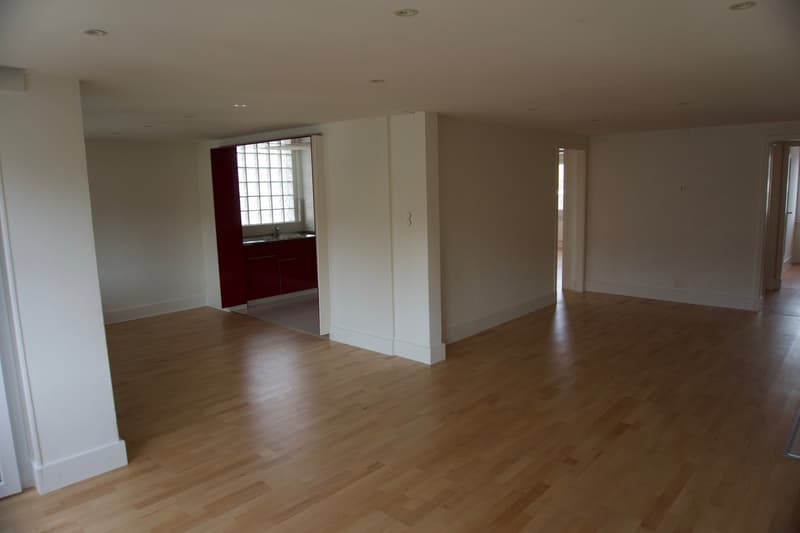 Charmant appartement de 4 pièces rénové avec balcon – La Chaux-de-Fonds (5)