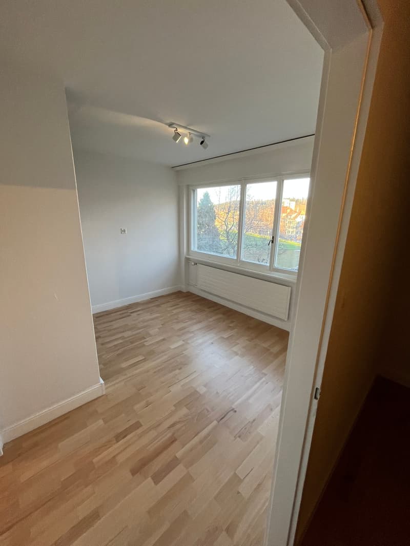Appartement 2 pièces rénové avec vue, calme et bien situé à La Chaux-de-Fonds (5)